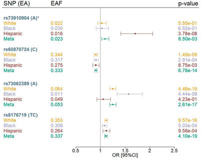 Genetic Loci Associated With COVID-19 Positivity and Hospitalization in White, Black, and Hispanic Veterans of the VA Million Veteran Program